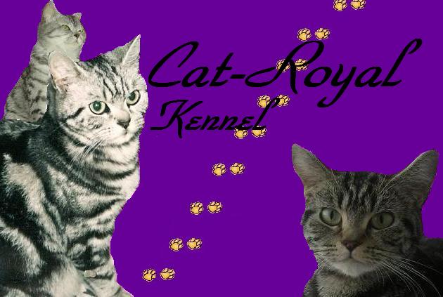 Cat-royal kennel